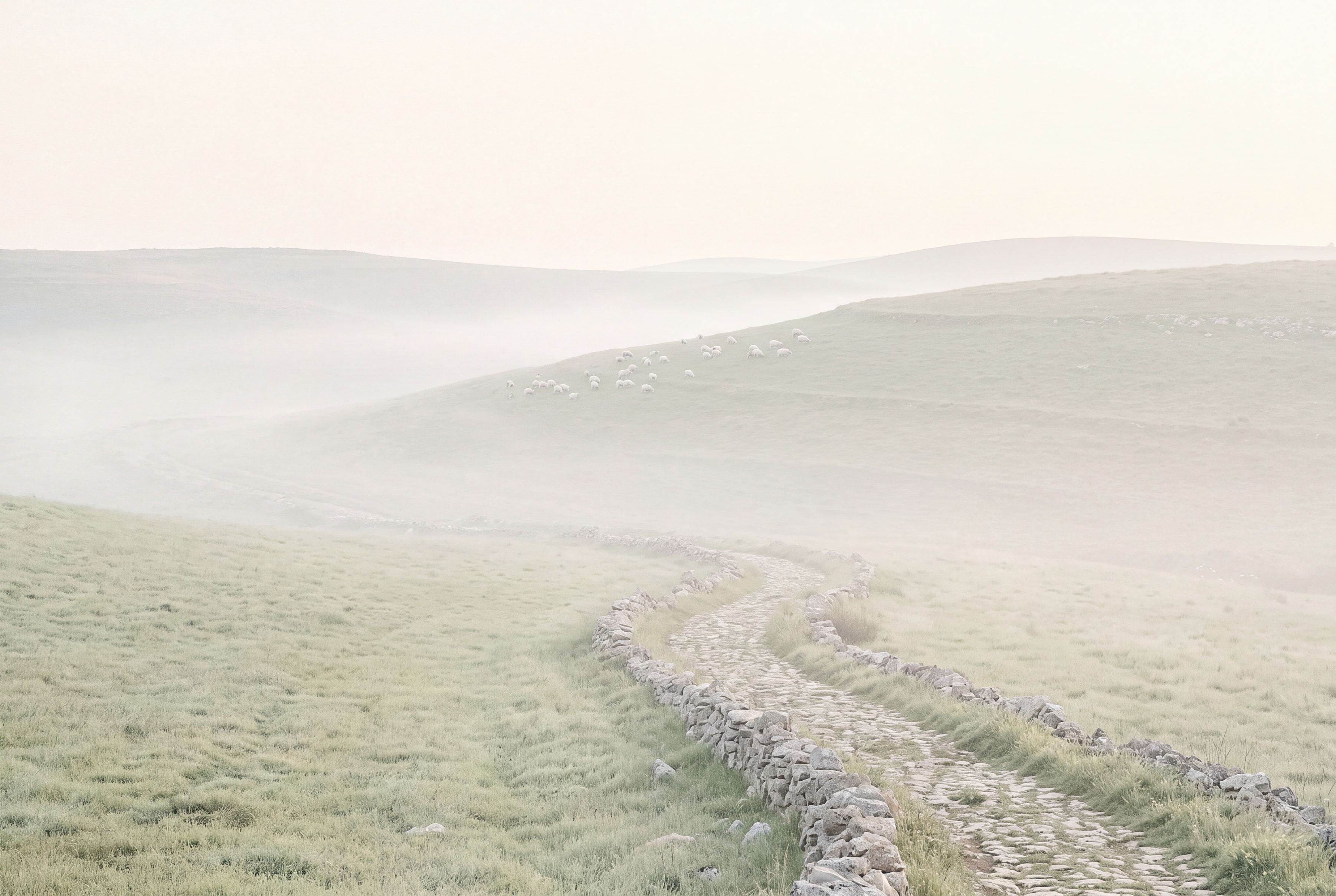A dry-stone path winding across misty green hills, with a small flock of sheep far off near the crest.